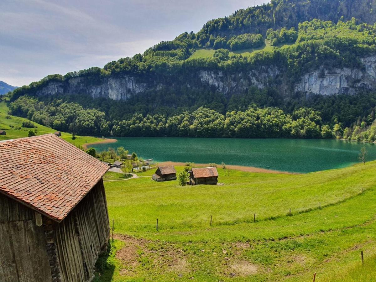 Appartement Seelewaermerli - Balsam Fuer Ihre Seele Seelisberg Exterior foto